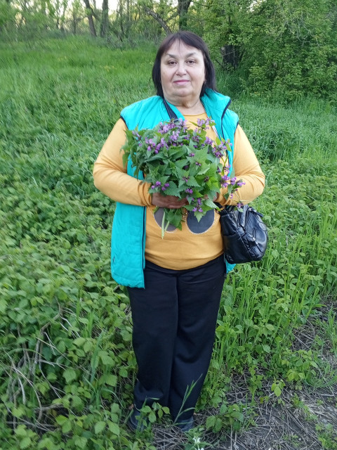 Елена Севостьянова, Россия, Гулькевичи, 67 лет, 2 ребенка. Познакомлюсь с мужчиной для дружбы и общения, без вредных привычек, доброго, уравновешенного. Умеющего...  Анкета 893731. 