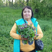 Елена Севостьянова, Россия, Гулькевичи, 67 лет
