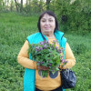 Елена Севостьянова, Россия, Гулькевичи, 67