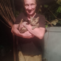 Николай, Россия, Воронеж, 48 лет
