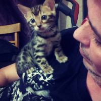 Brain, Россия, Москва, 51 год