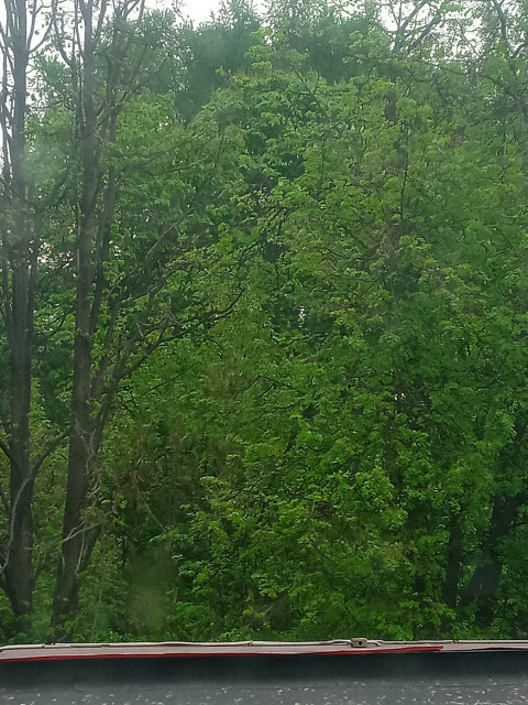 Sharif, Таджикистан, Душанбе. Фото на сайте ГдеПапа.Ру