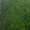 Sharif, Таджикистан, Душанбе. Фотография 1792205