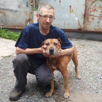 Андрей Автоинмарт, Россия, Владивосток, 42