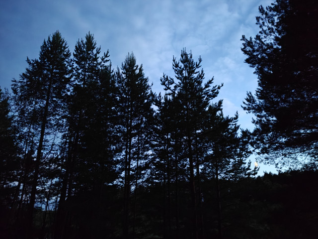 Иван, Россия, Нижний Новгород. Фото на сайте ГдеПапа.Ру