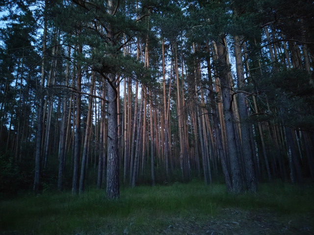 Иван, Россия, Нижний Новгород. Фото на сайте ГдеПапа.Ру