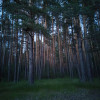 Иван, Россия, Нижний Новгород. Фотография 1795511
