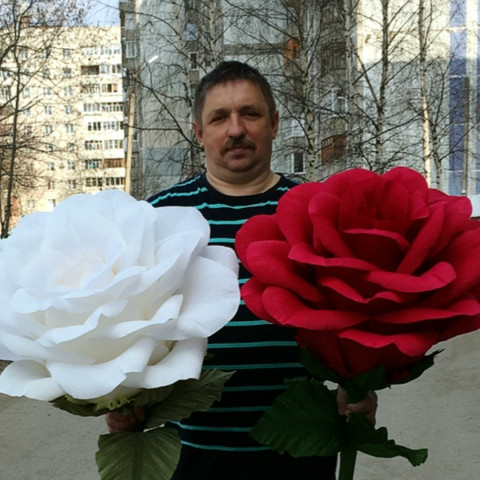 Сергей Логинов, Россия, Ярославль, 59 лет, 1 ребенок. пиши 89921010040 сергей пиши