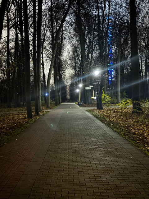 Артем Ушаков, Россия, Новосибирск. Фото на сайте ГдеПапа.Ру