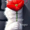 Владимир, Россия, Новосибирск. Фотография 1802005