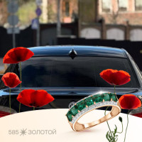 Alexander Evgenievich, Россия, Симферополь, 21