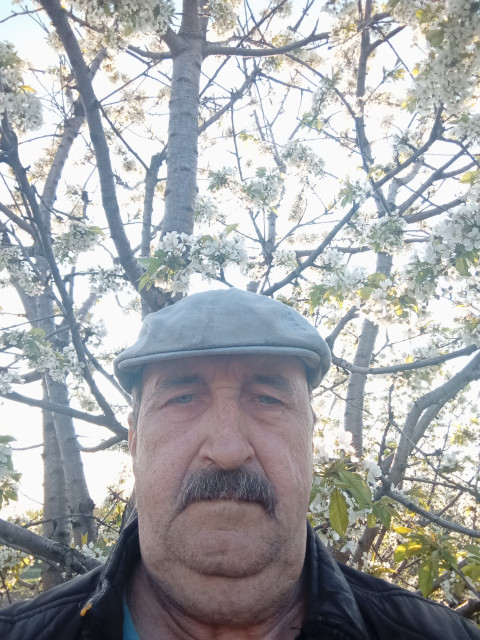Александр Гречкин, Лиски, 63 года. Ищу: Нормальную  Анкета 902449. 