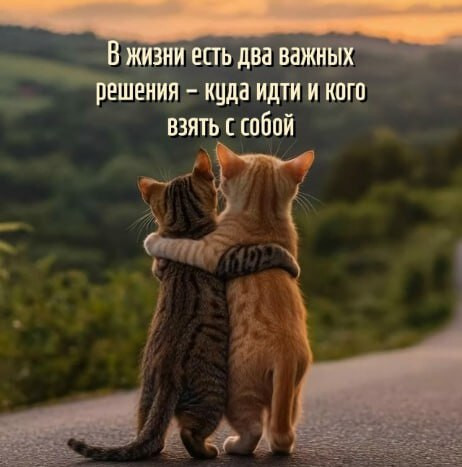 София, Россия, Рязань. Фото на сайте ГдеПапа.Ру