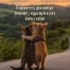 София, Россия, Рязань. Фотография 1805957