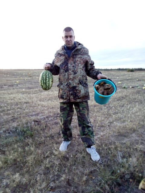 Максим, Россия, Волгоград, 45 лет. Познакомлюсь с женщиной для дружбы и общения.  Анкета 902999. 
