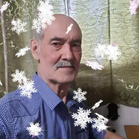Владимир Сустатов, Россия, Нижний Новгород, 71 год, 1 ребенок. Ищу: Для совместного проживания  Анкета 904327. 