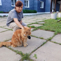 Юлия, Россия, Краснодар, 46 лет