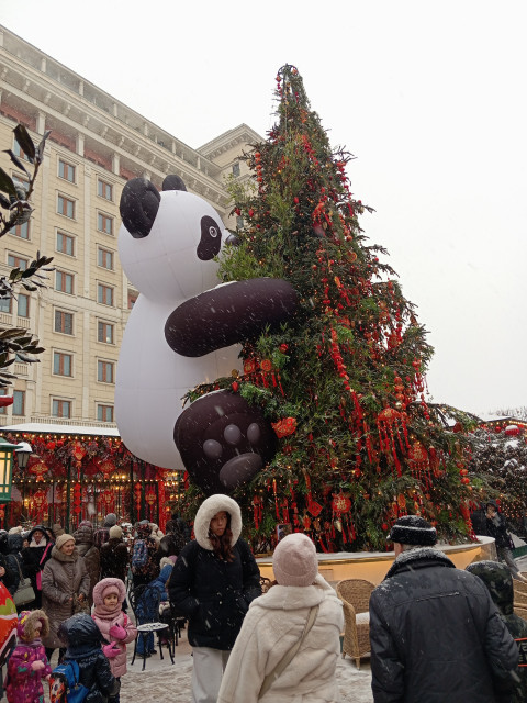 Ольга Белогорская, Россия, Москва. Фото на сайте ГдеПапа.Ру