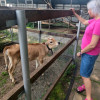Светлана, 46, Россия, Москва