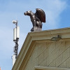 Мюкла, Россия, Москва, 55