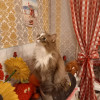 Александр, Беларусь, Гродно. Фотография 1828667