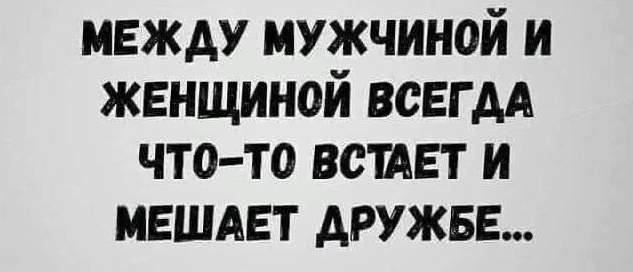 МЖ-дружба - миф или реальность?