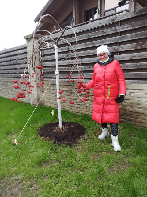 Ирина, Москва, 54 года, 1 ребенок. Познакомлюсь с мужчиной для любви и серьезных отношений, брака и создания семьи, воспитания детей.  Анкета 909951. 