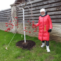 Ирина, Россия, Москва, 54 года