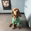 Галина, Россия, Шатура, 58