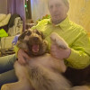 Кирилл, Россия, Санкт-Петербург, 52