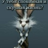 Александр Богданов, Россия, Санкт-Петербург. Фотография 1826999