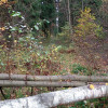 Vloade, Россия, Софрино, 49