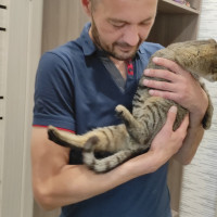 Руслан, Санкт-Петербург, м. Проспект Большевиков, 45 лет
