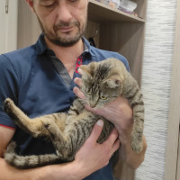 Руслан, Санкт-Петербург, м. Проспект Большевиков, 45 лет