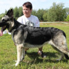Юлия, Россия, Тверь. Фотография 1829468