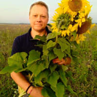 Михаил, Москва, м. ВДНХ, 49 лет