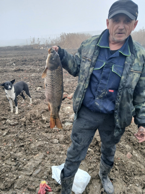 Виктор, Россия, Краснодар. Фото на сайте ГдеПапа.Ру