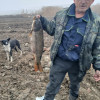 Виктор, Россия, Краснодар. Фотография 1830223