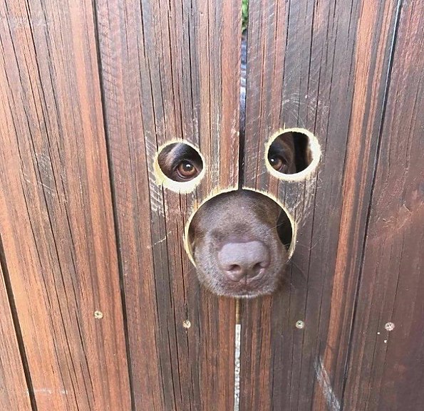 С чего начать новую жизнь когда тебе за 50?Варианты..)))))