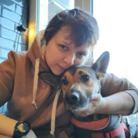 Al, Россия, Санкт-Петербург, 44 года. Познакомиться с женщиной без регистрации